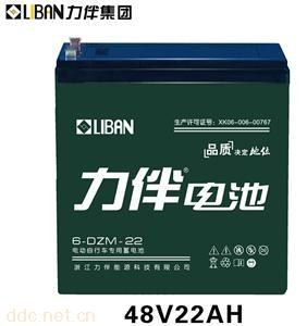  电动车专用电池6-DZM-22